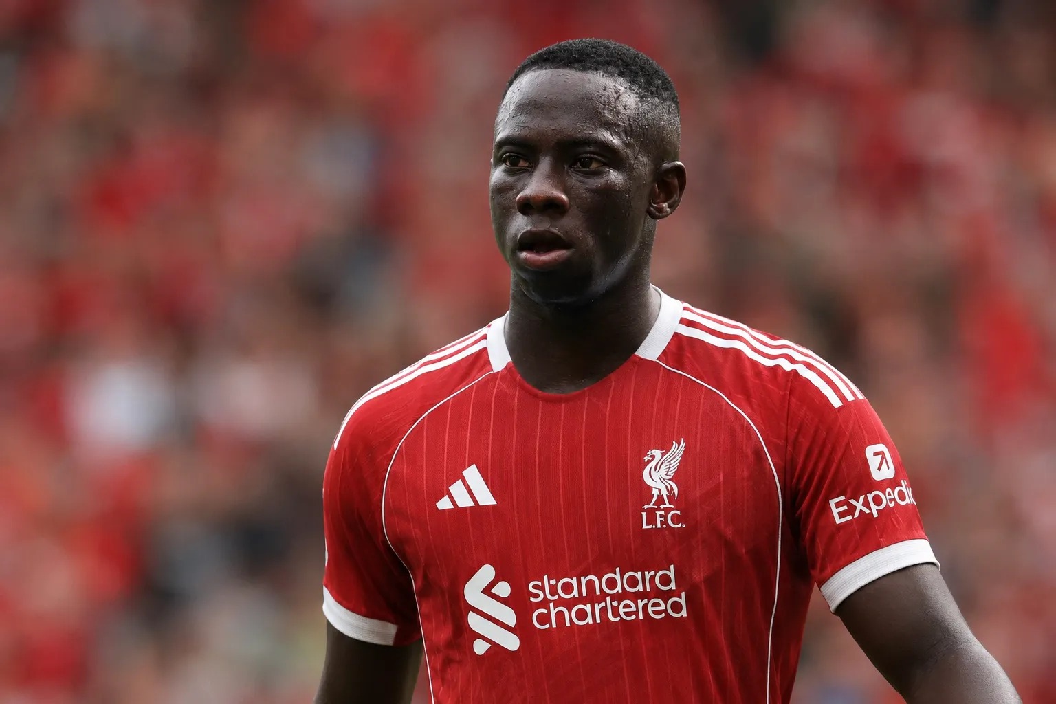Liverpool insiste pour recruter l'ailier Yankuba Minteh