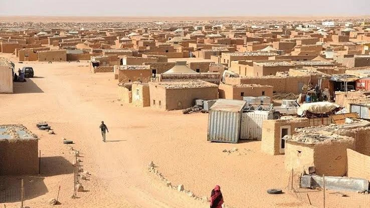 Polisario : des ONG sud-américaines alertent l'ONU